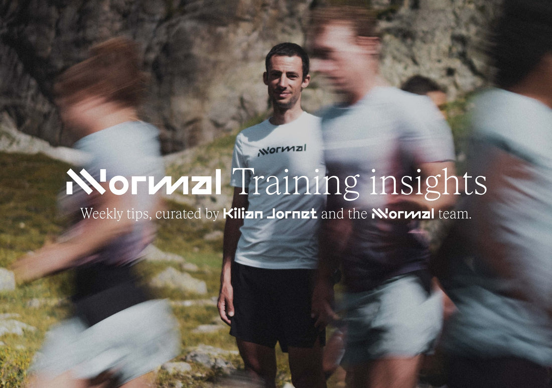 NNormal Training Insights